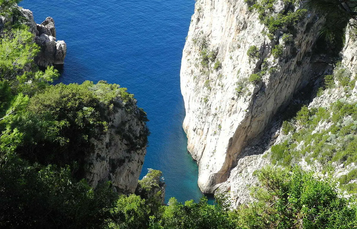 Capri