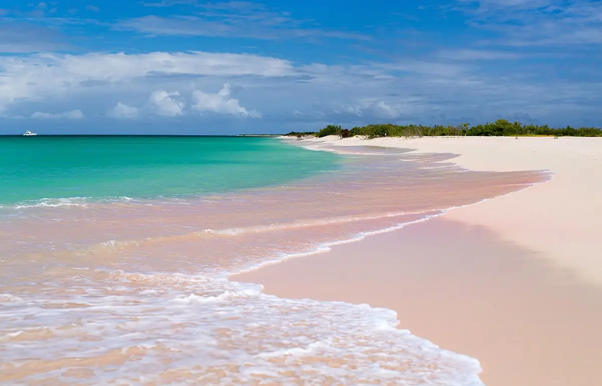 thumbnail-leeward-islands-barbuda-AdobeStock_102095099