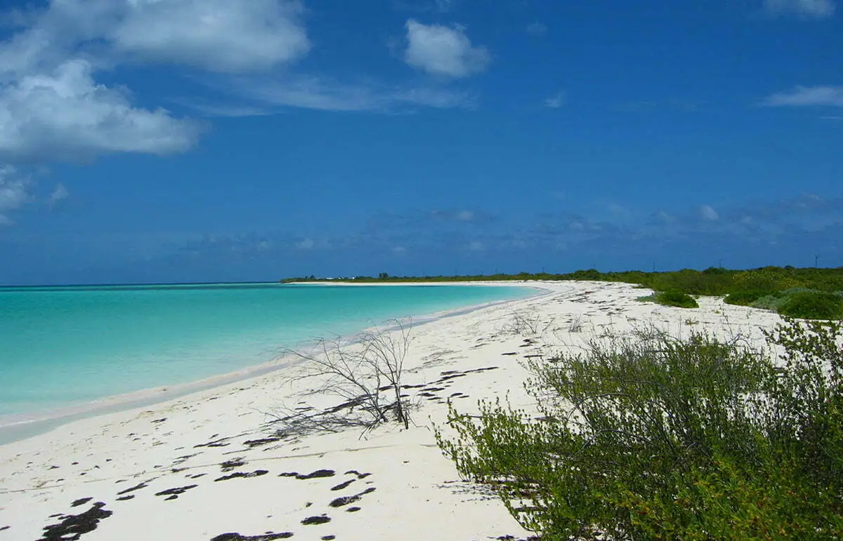 thumbnail-bahamas-sandy-beach-AdobeStock_9095176