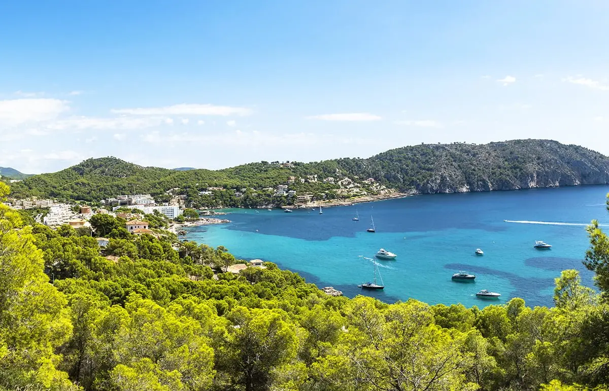 Camp de Mar, Paguera, Mallorca