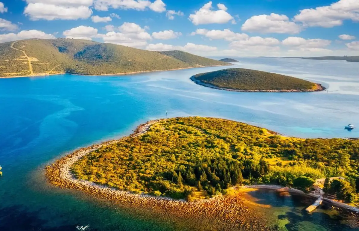 Ilovik Island, Croatia – Aerial View of Green Coastline and Blue Adriatic Waters