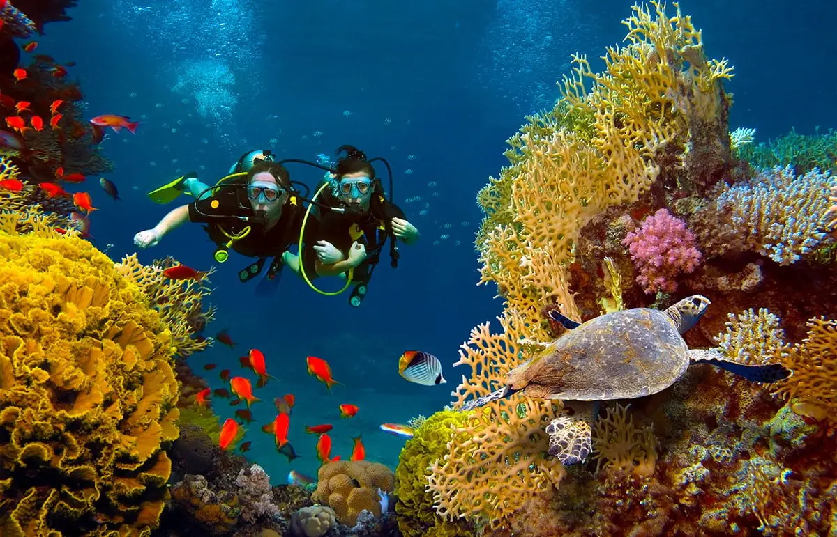 Maria La Gorda International Dive Center