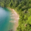Pirates Bay Beach within UNESCO North-East Tobago Man and the Bi - Echonautique.com