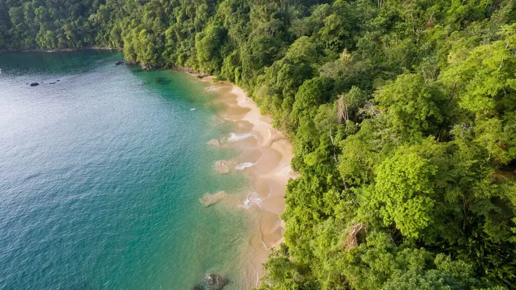 Luxury yacht charter in Trinidad and Tobago – Pirates Bay beach in Tobago, Caribbean