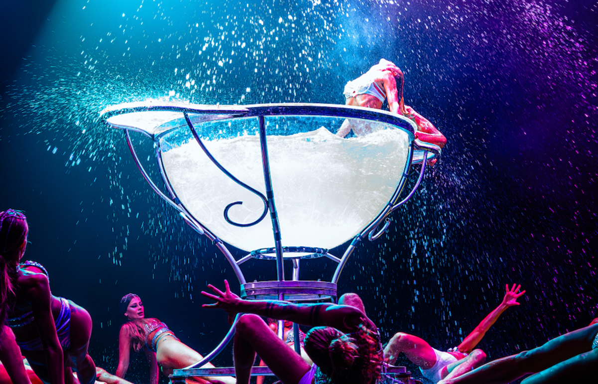 Billionaire, Porto Cervo