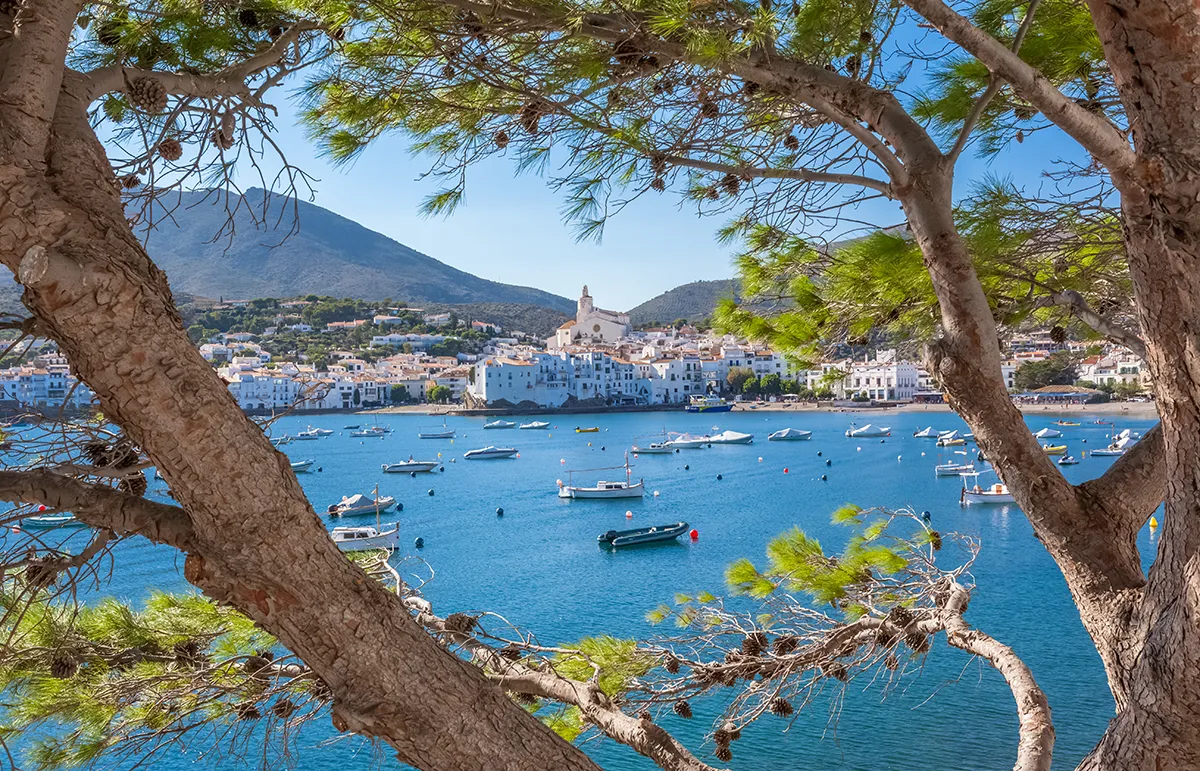 Coastal Mediterranean town with white buildings along a blue harbor, seen through tree branches and pine needles; boats dot the water under a clear sky.